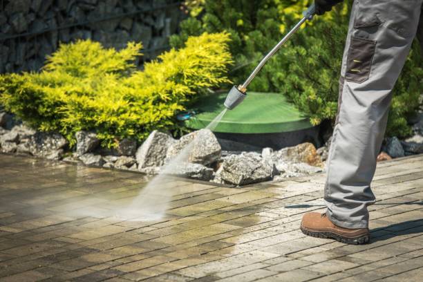 Best Solar Panel Cleaning  in Wauwatosa, WI