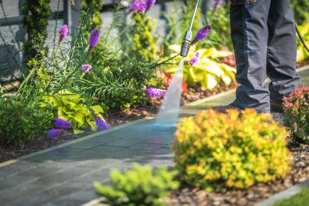 Best House Exterior Washing  in Wauwatosa, WI